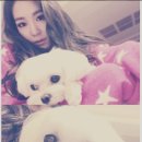 티파니&펫 이미지