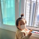 더기도기