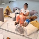 바나개 애견유치원 호텔 이미지