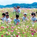 다문화카페무지개동산 네이버블로그