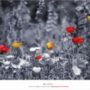 보절중학교 이미지