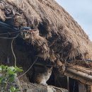표선면-1 | [제주서귀포여행] 표선면 성읍민속마을 예쁜 초가집 카페 초가헌 뚜벅이여행 후기