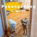 [강원도] 평창 애견동반펜션 도그밀리펜션 솔직후기