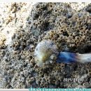 삿갓농장(2) 이미지