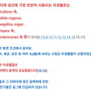 Re: 박테리아의 지방분해 효소(리파아제) 탐구 2023 리뷰!! 이미지