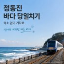강원도개발공사 숙소 | 정동진 당일치기 코스, 기차로 바다 한나절