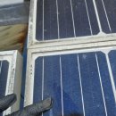 광이농장 이미지