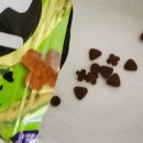 냠냠펫푸드 이미지