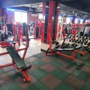 백프로짐 이미지