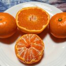 한베농원