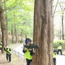 제일초등학교 이미지