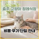 충주축산 | 충주 고양이 장례식장 후기 좋은 곳은? 충주 반려묘 장례 비용, 후기, 추천 시설 완벽 정리.
