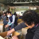 언니네텃밭 봉강공동체 이미지