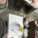 관사골김밥 이미지