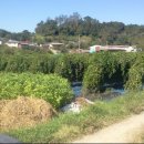 서윤농장 이미지