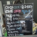 냥이의하루 카페.분양 | 고양이카페 :: 칠곡이색카페 냥이의하루