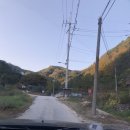 [가평] 숲속 분위기에 개별룸이 있는 애견동반가능한 식당 &lt;동기간&gt;