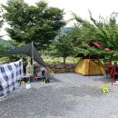 초록슈피아 캠핑장 이미지