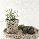 스톤아트 창작클래스 | 꽃집 선생님이 선택한 도우아트자격증 과정 클래스 후기