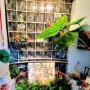 동화속이야기 이미지