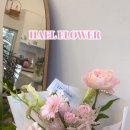 하엘플라워