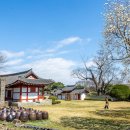 대흥조선 이미지