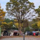 (주)에펠오토서비스 | 연천 한탄강 오토캠핑장 가족여행 아이와 함께한 강변 감성캠핑 후기