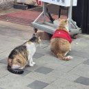 대왕게임장 네이버블로그