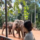 (주)뉴월드렌트카 이미지