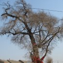 신학농장 이미지