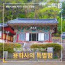 아쇼카빌 | 통영 미륵산에 위치한 천년 고찰 용화사의 특별함에 감화되다.