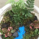 테라리움 클래스 이미지