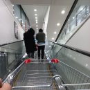 들꽃여울캠핑장 | [가평캠핑장] 서울근교 캠핑장추천 - 유명산들꽃여울캠핑장