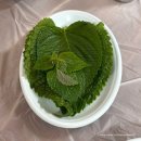 족발이야기 | 종로 미슐랭 족발 맛집 '할매집' 내돈내산 후기 웨이팅 주차 꿀팁까지.