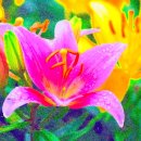 아침이슬 이미지