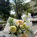시연화다 네이버블로그