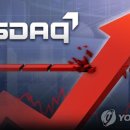 엘엔에프 네트웍스 이미지
