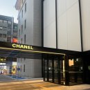 4244 | [신세계강남] 유니콘템?! 코코핸들 미니 구입 후기(샤넬 코코핸들/ 코핸 미니/ 샤넬인상/ 샤넬 상품권...