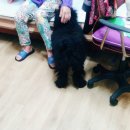 Lovely아지 네이버블로그