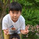 데칼코마니 이미지