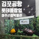 만나굼벵이 | 김포 아이와 가볼만한곳｜곤충을 직접 만질 수 있는 김포공항 롯데몰 여주곤충박물관 팝업 후기
