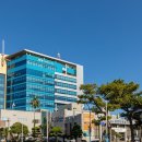 제주달다 이미지