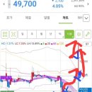 초전도체 관련 주력주 '신성델타테크' 이미지