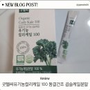 굿헬씨푸드 | 진짜 채소의 힘, 굿헬씨 유기농 컬리케일 분말 솔직 후기