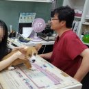 삼성종합동물병원 이미지