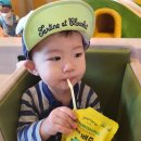 지호팜 이미지