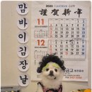 부산애견호텔 애견유치원 맘바이 서면본점 네이버블로그