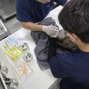 부산야생동물치료센터 | 부산 낙동강 에코센터 방문기.아이와 함께한 야생동물 치료센터 체험