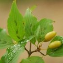 송파중학교(외) 이미지