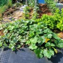 작은풍경 이미지